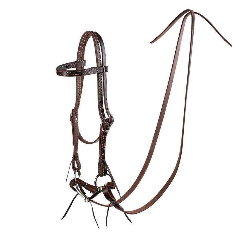 Pony Headstall with Bit Bridle Rig