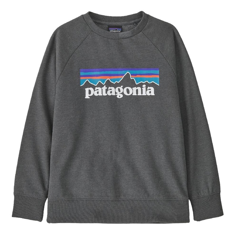 Patagonia Kid’s Lightweight Crew Sweatshirt