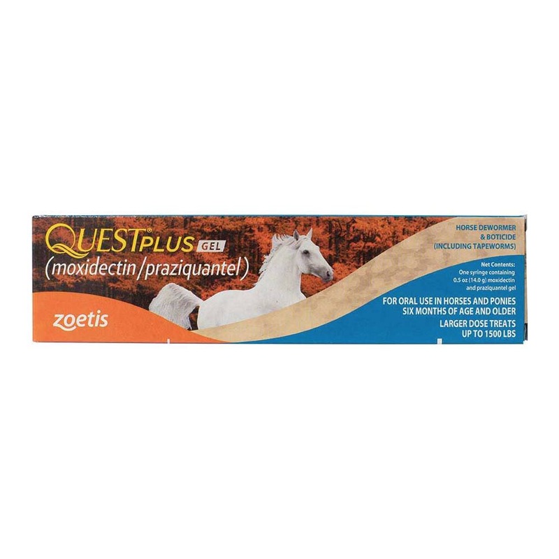 Quest Plus Gel