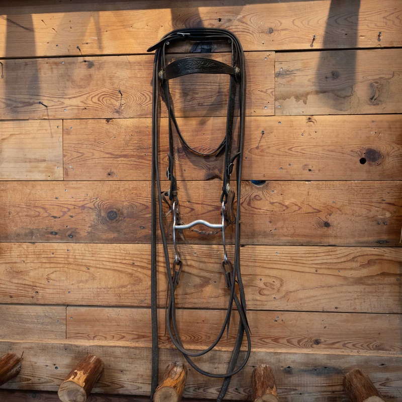 1910-1920s Bridle Rig with Sterling Candys Crockett Bit
