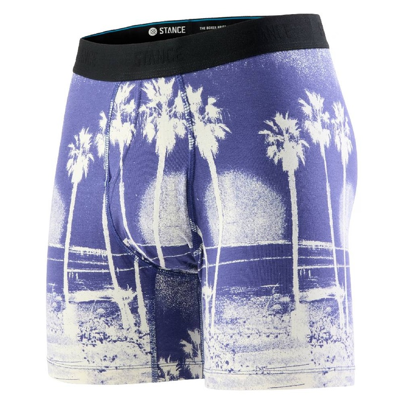 Stance Blue In Paradise Boxer Brief