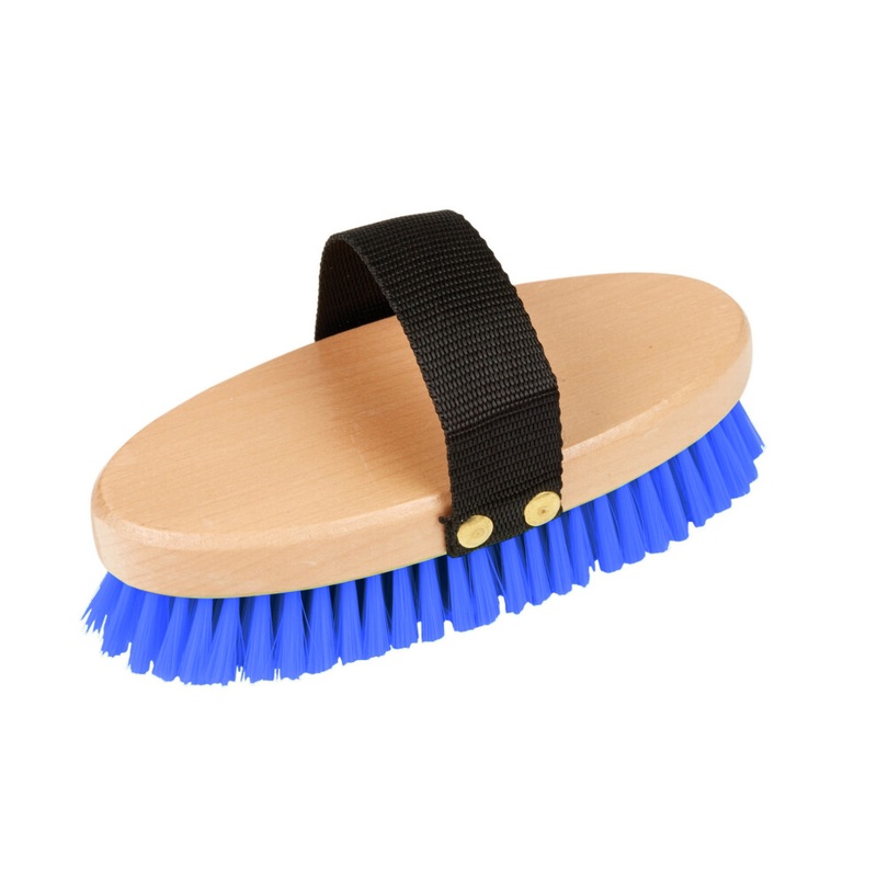 Compare b&q blue roma brights body brush royal (one size) products from over 25,000 stores
