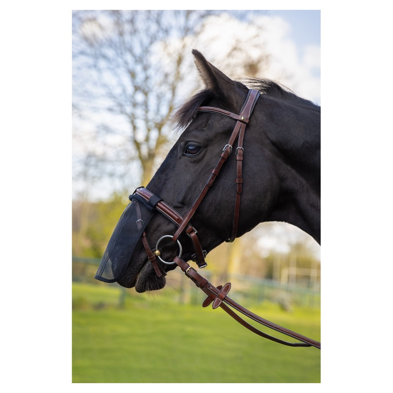 Compare br equitation noir nose guard for horses small products from over 25,000 stores