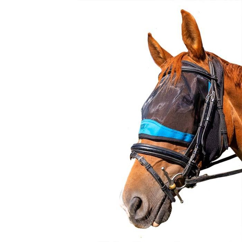 Compare woof wear ride on fly mask – turquoise large products from over 25,000 stores