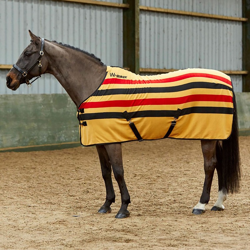 Compare whitaker unisex aintree fleece stripe rug –  yellow 4’3 products from over 25,000 stores
