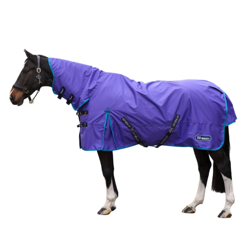 Compare whitaker purple (5′ 9, ) rastrick v2 fixed neck horse turnout rug size 5 products from over 25,000 stores