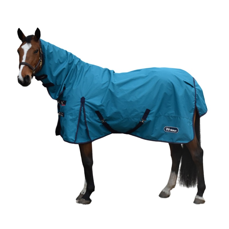 Compare whitaker turquoise (6′, ) rastrick fixed neck horse turnout rug size 6 products from over 25,000 stores