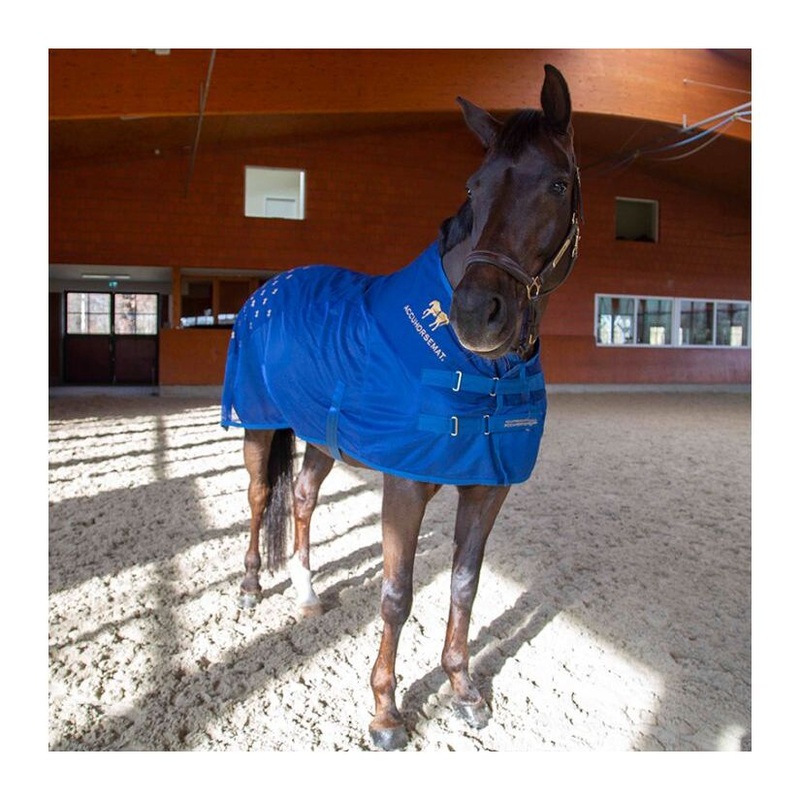 Compare accuhorsemat bleu acupressure mat for the back products from over 25,000 stores