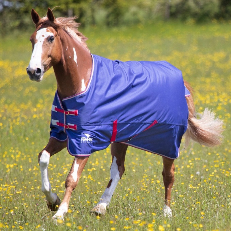 Compare b&q tempest original air motion horse turnout rug navy (63in) products from over 25,000 stores