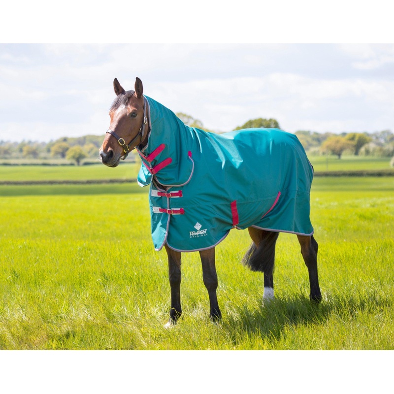 Compare shires tempest original air motion combo rug – 66 green size 3 products from over 25,000 stores