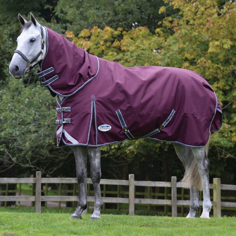 Compare weatherbeeta unisex comfitec plus dynamic ii 100g detachable neck turnout rug – purple 5’3 products from over 25,000 stores