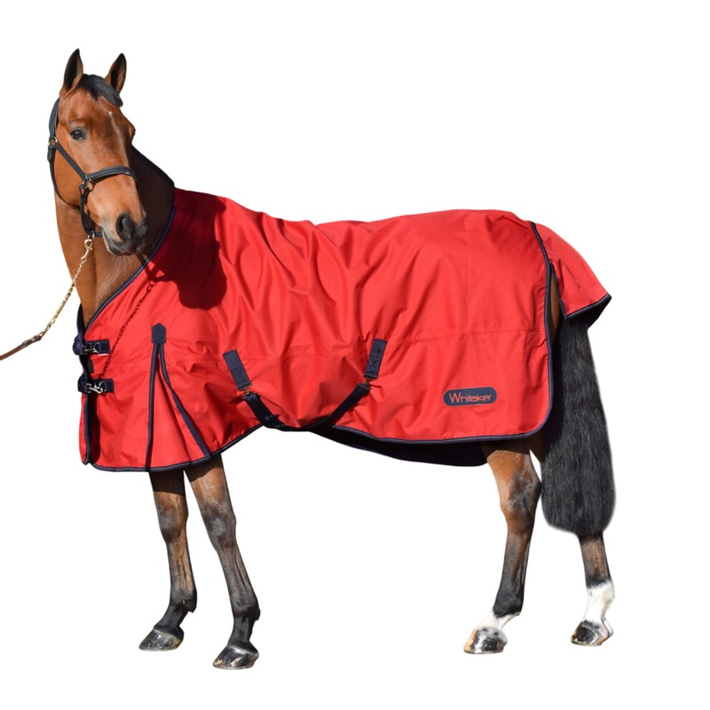 Compare whitaker standard-neck lightweight horse turnout rug large products from over 25,000 stores